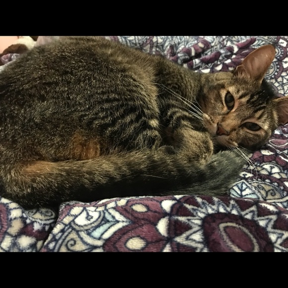 Meet your posher - Picture 2 of 6